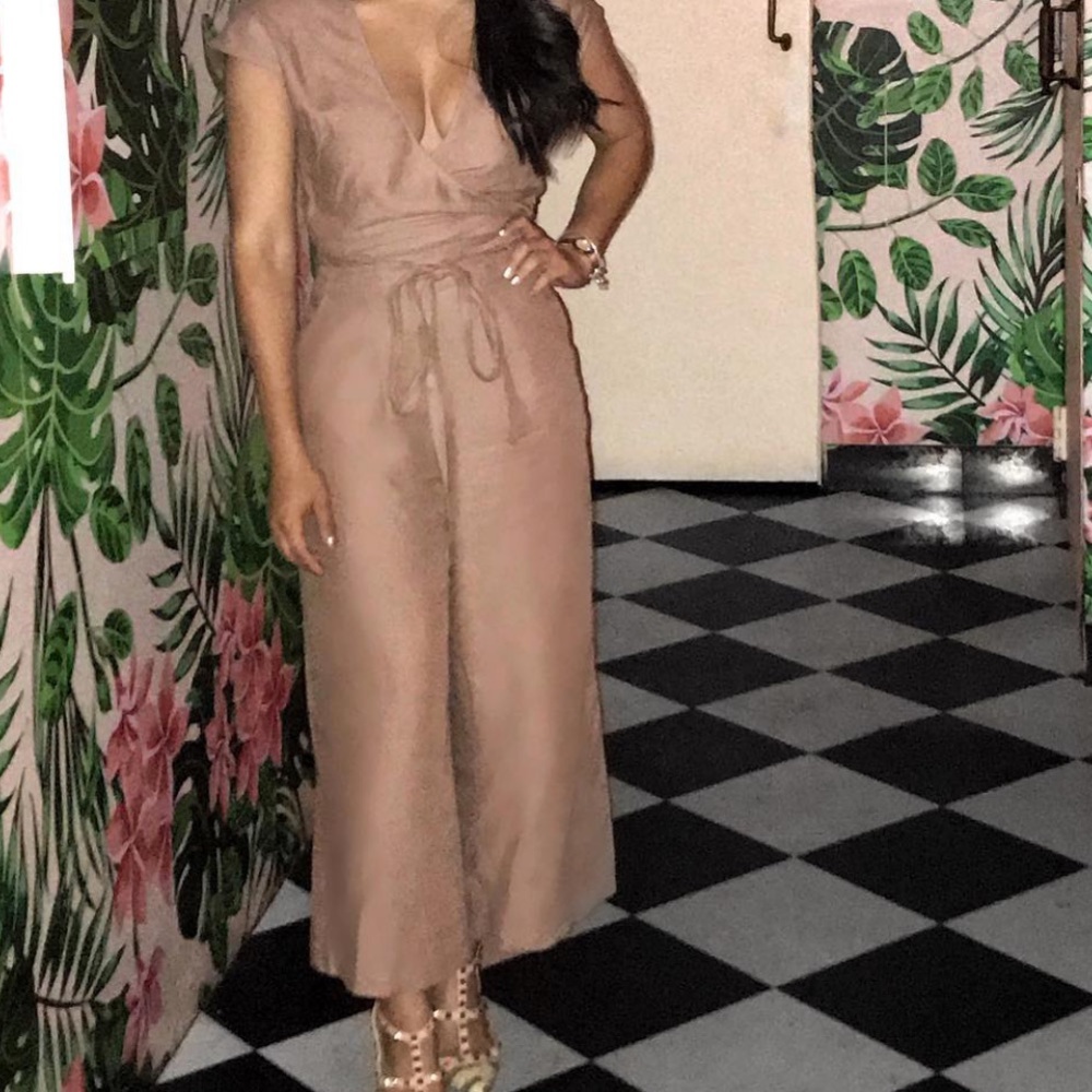 Pink Aritzia Wilfred Jumpsuit